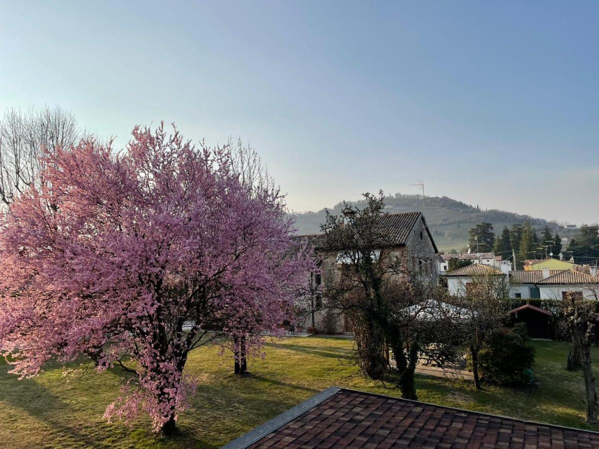 Vila Gina & Jeto Farra di Soligo Exteriér fotografie